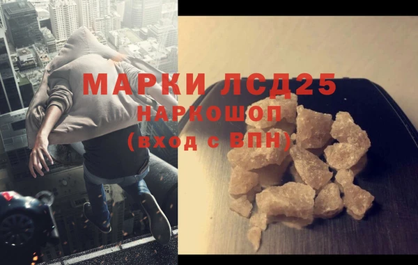 прущие грибы Михайлов