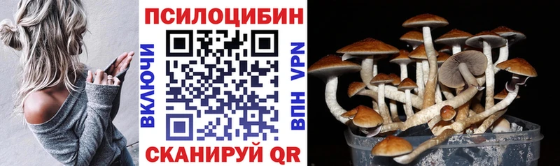 Купить закладки  Хасавюрт  Псилоцибиновые грибы ЛСД 